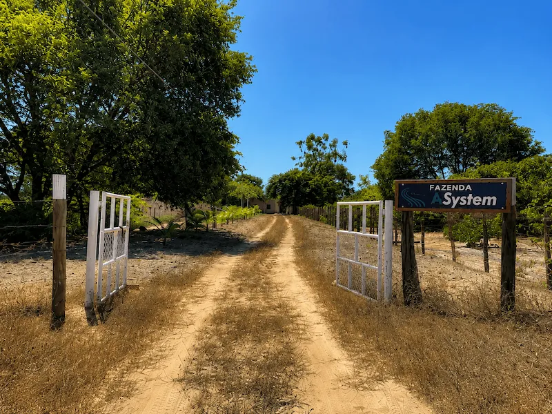 Entrada da Fazenda Asystem com placa e portão aberto